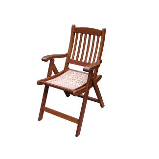 Ranthambore Chair